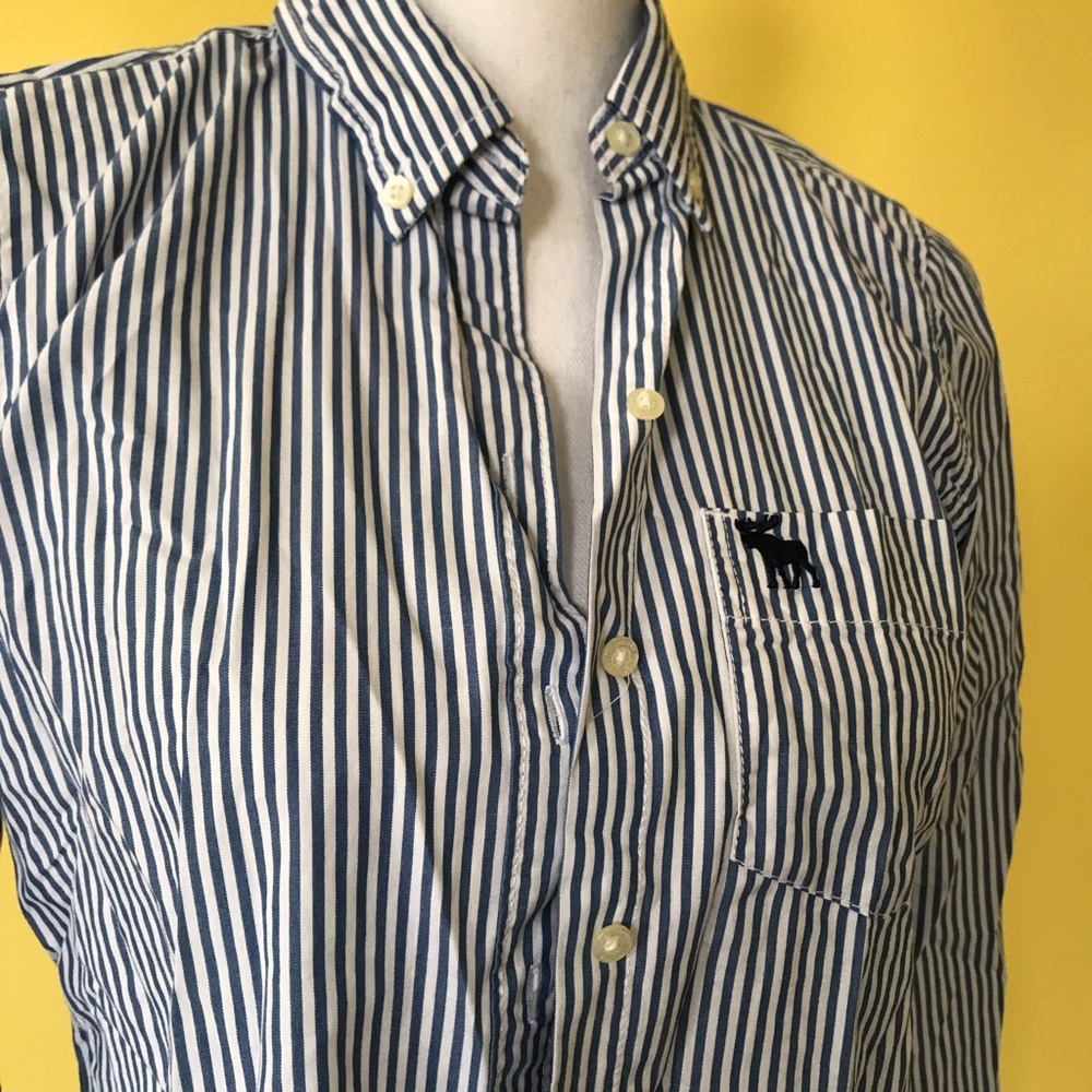 NWT Medium blue and white striped button up shirt